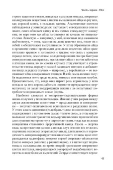 Второй пол, Бовуар Симона де купить книгу в Либроруме