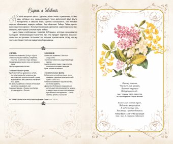 Тайный язык цветов, Джилл Дэвис Джилл Сондерс купить книгу в Либроруме