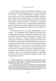 Что знает рыба. Внутренний мир наших подводных собратьев, Бэлкомб Джонатан купить книгу в Либроруме