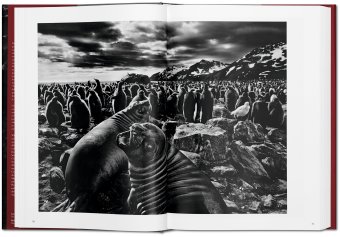 Sebastiao Salgado. Genesis, Salgado Lelia Wanick купить книгу в Либроруме Sebastiao Salgado. Genesis, Salgado Lelia Wanick купить книгу в Либроруме