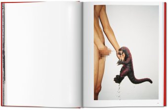 Ren Hang, Hang Ren Hanson Dian купить книгу в Либроруме Ren Hang, Hang Ren Hanson Dian купить книгу в Либроруме