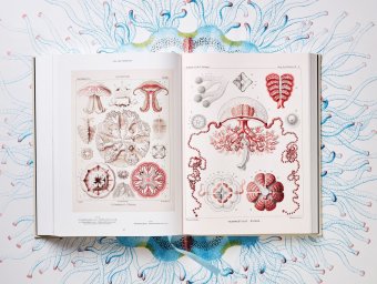 The Art and Science of Ernst Haeckel, Геккель Эрнст Haeckel Ernst Willmann Rainer Voss Julia купить книгу в Либроруме The Art and Science of Ernst Haeckel, Геккель Эрнст Haeckel Ernst Willmann Rainer Voss Julia купить книгу в Либроруме