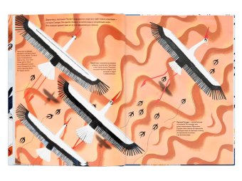Тысяча и одна птица, Жезак Иоанна купить книгу в Либроруме Тысяча и одна птица, Жезак Иоанна купить книгу в Либроруме