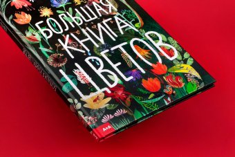 Большая книга цветов, Зоммер Юваль купить книгу в Либроруме