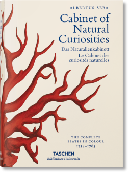 Cabinet of Natural Curiosities, Müsch Irmgard Rust Jes Willmann Rainer купить книгу в Либроруме Cabinet of Natural Curiosities, Müsch Irmgard Rust Jes Willmann Rainer купить книгу в Либроруме
