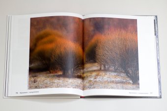 Детям об искусстве. Фотография, Бойко Иван Петрович купить книгу в Либроруме Детям об искусстве. Фотография, Бойко Иван Петрович купить книгу в Либроруме