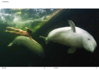 Один к одному, Самойлов Давид Самуилович купить книгу в Либроруме