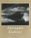 Аркадий Шайхет, Стигнеев В. Т. купить книгу в Либроруме