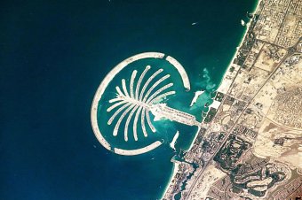 Города вам на пользу. Гений мегаполиса, Холлис Лео купить книгу в Либроруме