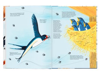 Тысяча и одна птица, Жезак Иоанна купить книгу в Либроруме Тысяча и одна птица, Жезак Иоанна купить книгу в Либроруме