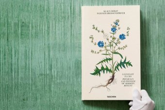 Leonhart Fuchs. The New Herbal, Dressendörfer Werner купить книгу в Либроруме Leonhart Fuchs. The New Herbal, Dressendörfer Werner купить книгу в Либроруме