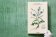 Leonhart Fuchs. The New Herbal, Dressendörfer Werner купить книгу в Либроруме Leonhart Fuchs. The New Herbal, Dressendörfer Werner купить книгу в Либроруме