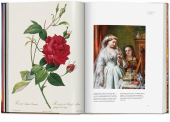 Plant Magick. The Library of Esoterica, Hundley Jessica купить книгу в Либроруме Plant Magick. The Library of Esoterica, Hundley Jessica купить книгу в Либроруме